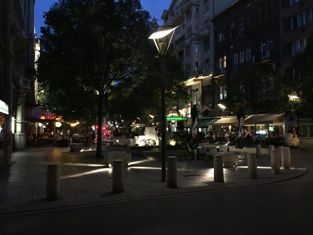 Apartment Near Opera In Downtown 부다페스트 외부 사진